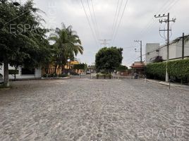  Grundstück zu verkaufen in Cuernavaca, Morelos, Cuernavaca