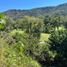  Land for sale in Zapopan, Jalisco, Zapopan, Jalisco