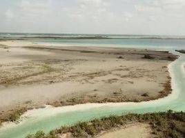  Grundstück zu verkaufen in Othon P Blanco, Quintana Roo, Othon P Blanco