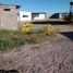  Terreno (Parcela) en venta en Saucillo, Chihuahua, Saucillo