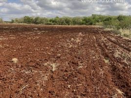  Grundstück zu verkaufen in Hopelchen, Campeche, Hopelchen