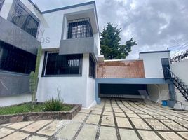 356 제곱미터입니다 Office for rent in 멕시코, 톨 루카, 멕시코, 멕시코