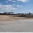  Land for rent in Leon, Guanajuato, Leon