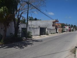  Terreno (Parcela) en alquiler en Cancún, Quintana Roo, Cancún, Quintana Roo