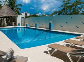 Appartement 2 chambre à louer à Cozumel, Quintana Roo, Cozumel, Quintana Roo, Mexique
