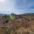  Land for sale in Cuitzeo, Michoacan, Cuitzeo