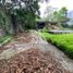  Land for rent in Cuernavaca, Morelos, Cuernavaca