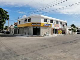 222 m2 Office for rent in Yucatan, Merida, Yucatan