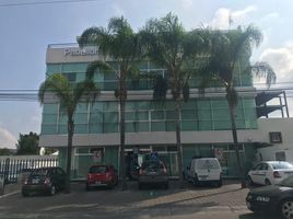 28 m² Office for rent in Querétaro, Queretaro, Querétaro
