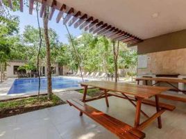 Appartement 3 chambre à louer à Cozumel, Quintana Roo, Cozumel