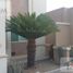 4 Habitación Casa en alquiler en Monterrey, Nuevo León, Monterrey