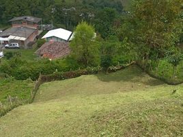  Terreno (Parcela) en venta en Manizales, Caldas, Manizales