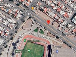  Land for rent in San Luis Potosi, San Luis Potosi, San Luis Potosi, San Luis Potosi