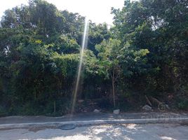  Terreno (Parcela) en alquiler en Cozumel, Quintana Roo, Cozumel, Quintana Roo