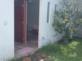 1 Bedroom Condo for rent in Toluca, Mexico, Toluca