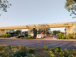  Grundstück zu verkaufen in Conkal, Yucatan, Conkal