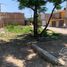  Land for rent in Leon, Guanajuato, Leon, Guanajuato