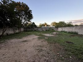  Grundstück zu vermieten in Valladolid, Yucatan, Valladolid, Yucatan