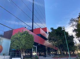 225.30 SqM Office for rent in Guanajuato, Leon, Guanajuato