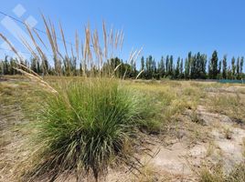  Terreno (Parcela) en venta en Rio Negro, General Roca, Rio Negro