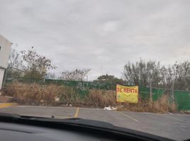 Terrain à louer à Monterrey, Nuevo Leon, Monterrey