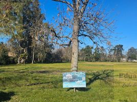  Land for sale in San Vicente, Buenos Aires, San Vicente