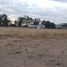  Land for rent in Jesus Maria, Aguascalientes, Jesus Maria