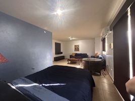 1 Bedroom Apartment for rent in Monterrey, Nuevo Leon, Monterrey, Nuevo Leon