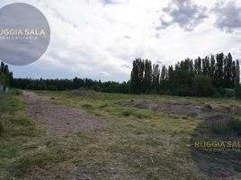  Terreno (Parcela) en venta en Confluencia, Neuquen, Confluencia