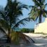 在Progreso, Yucatan出租的1 卧室 屋, Progreso