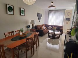 Villa 3 chambre à louer à Cozumel, Quintana Roo, Cozumel