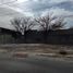  Terreno (Parcela) en alquiler en Monterrey, Nuevo León, Monterrey, Nuevo León