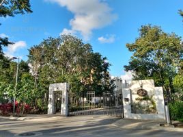 2 Bedroom Apartment for rent in Cozumel, Quintana Roo, Cozumel