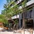 2 Schlafzimmer Appartement zu vermieten in Cozumel, Quintana Roo, Cozumel