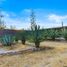 4 Bedroom Apartment for sale in Allende, Guanajuato, Allende