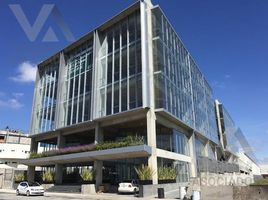 167 m² Office for rent in Otzolotepec, Mexico, Otzolotepec