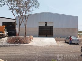 Studio Haus zu vermieten in Valladolid, Yucatan, Valladolid, Yucatan