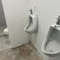 4 Schlafzimmer Haus zu vermieten in Monterrey, Nuevo Leon, Monterrey, Nuevo Leon, Mexiko