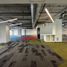 1,252 SqM Office for rent in Nuevo Leon, Monterrey, Nuevo Leon