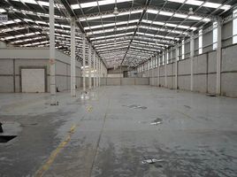 7,062 m2 Office for rent in Puebla, Cuautlancingo, Puebla