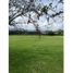  Land for sale in Rionegro, Antioquia, Rionegro