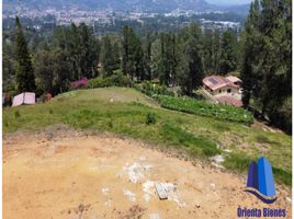  Land for sale in La Ceja, Antioquia, La Ceja, Antioquia