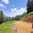  Land for sale in La Ceja, Antioquia, La Ceja, Antioquia