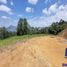  Land for sale in La Ceja, Antioquia, La Ceja, Antioquia