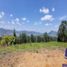  Land for sale in La Ceja, Antioquia, La Ceja, Antioquia