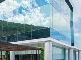 226 m2 Office for rent in Monterrey, Nuevo Leon, Monterrey