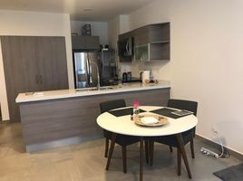 2 Schlafzimmer Wohnung zu vermieten in Nuevo Leon, San Pedro Garza Garcia, Nuevo Leon
