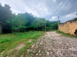  Terreno (Parcela) en venta en Chiapas, Tuxtla Gutierrez, Chiapas