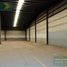 1,000 m² Office for rent in Medellin, Veracruz, Medellin