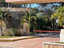  Grundstück zu verkaufen in Merida, Yucatan, Merida, Yucatan